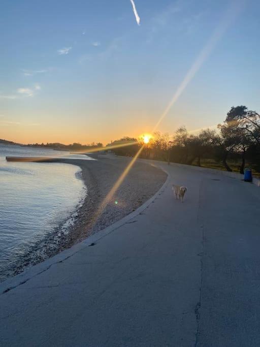 Prostorny Domov V Nejkrasnejsi Casti Chorvatska Apartment Vodice Luaran gambar